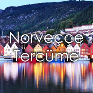 Norvee Tercme